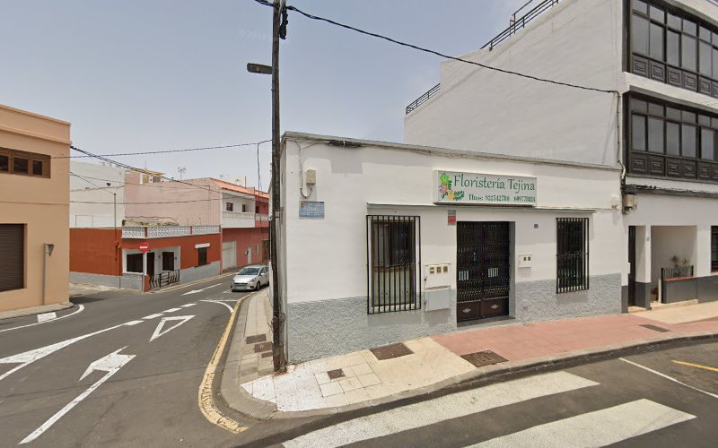 Negocio Floristería Tejina