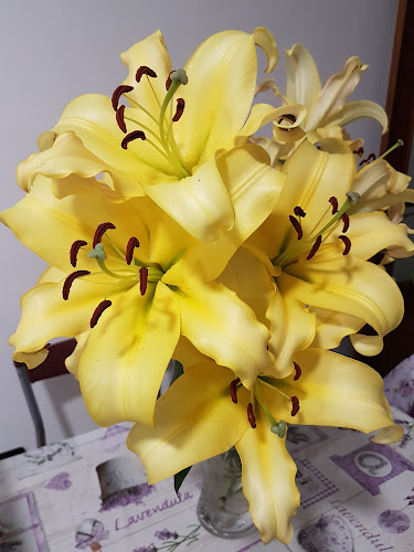 Negocio Floristería Tin