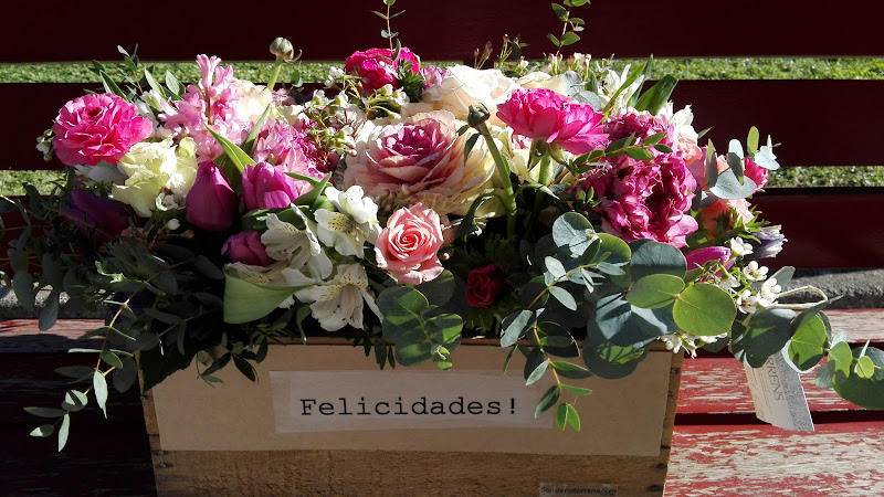 Negocio Floristería Torrens