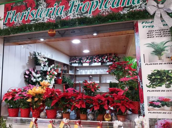 Floristeria Tropicana