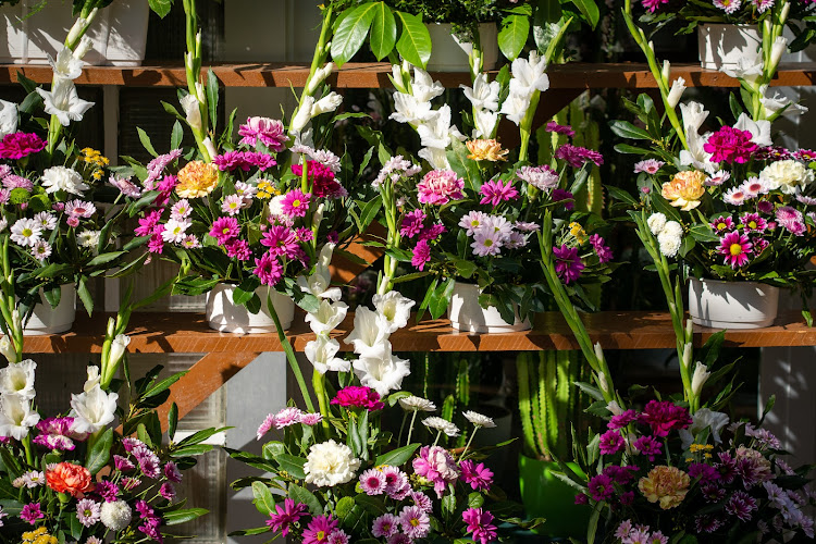 Negocio Floristería Txokoa