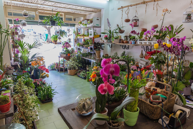 Negocio Floristería - Un Bejeque En Mi Tejado