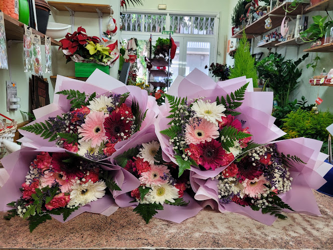 Negocio Floristeria Vidaflor - Floristería En Tejina