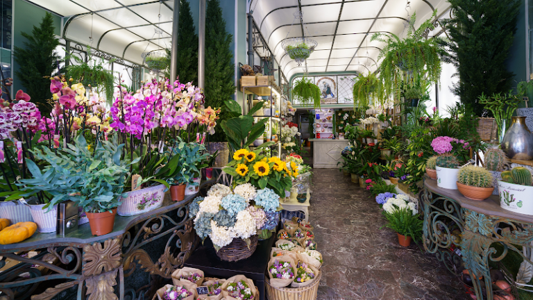 Floristería Villa Maria Luisa Donostia - San Sebastián