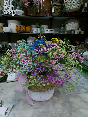 Negocio Floristeria Violetas