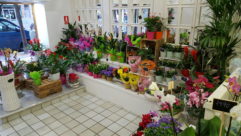 Negocio Floristerías Indalo