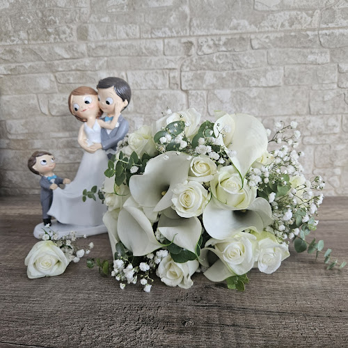 Negocio Flors I Plantes Montserrat