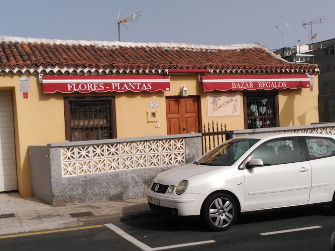 Negocio Francisco Pérez Suárez - Flor Casa
