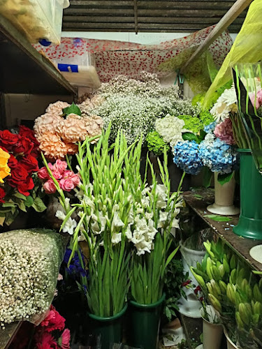 Garayalde Flores Tanatorio M30