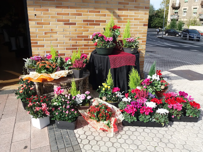 Negocio Garazi Loradenda Floristería