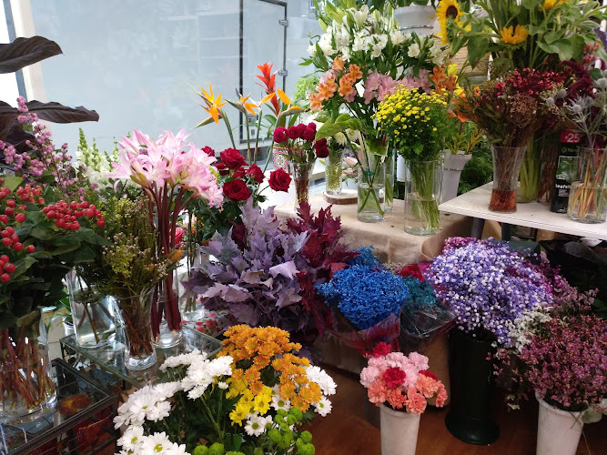 Negocio Kimber´s Floristas