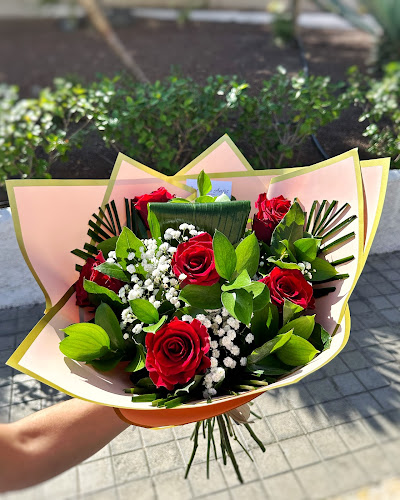Negocio La Flor De Ansís
