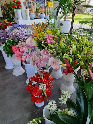 Negocio La Floristería