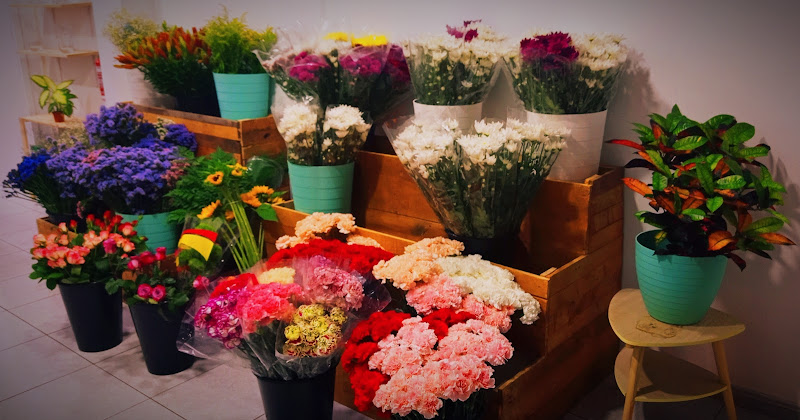 Negocio La Floristería De Cristo