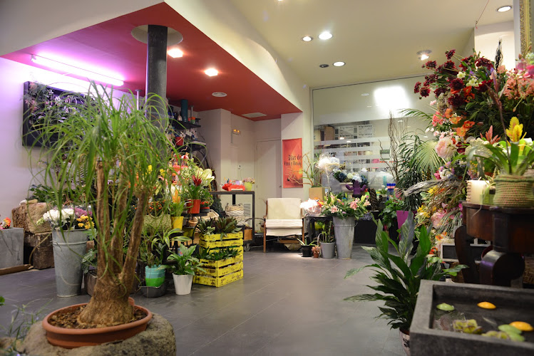 La Moderna - Floristería Y Servicio De Jardinería En Zaragoza