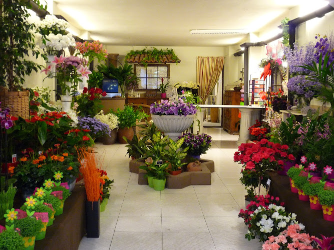 Negocio Las Flores De Montse