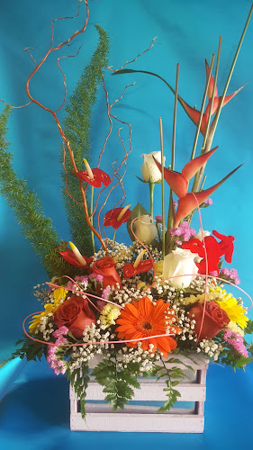 Negocio Leomami By Jaime Estévez