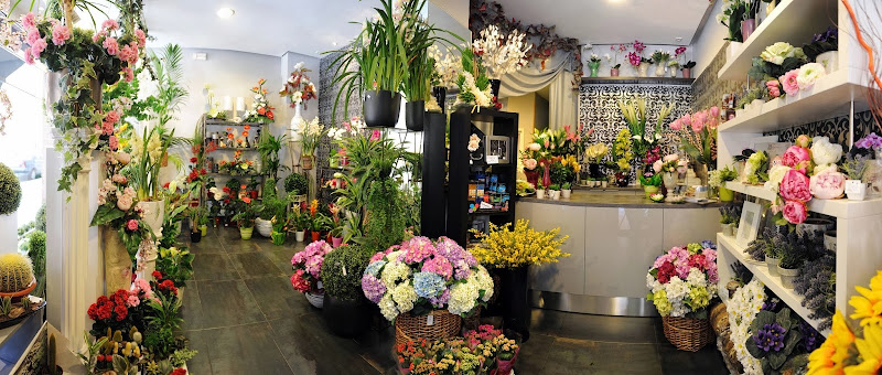 Negocio León Deco Floral España