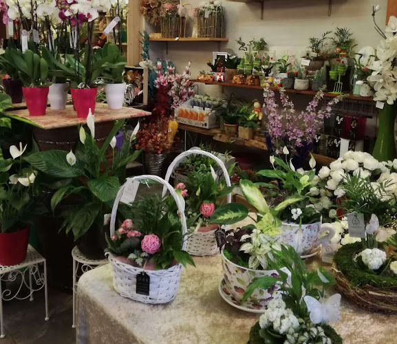 Negocio Lorak Esther Loradenda - Floristería Lorak Esther