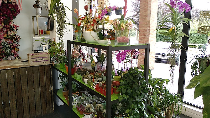 Negocio Pando Floristas