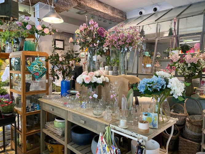 Rebolledo Floristería Santander