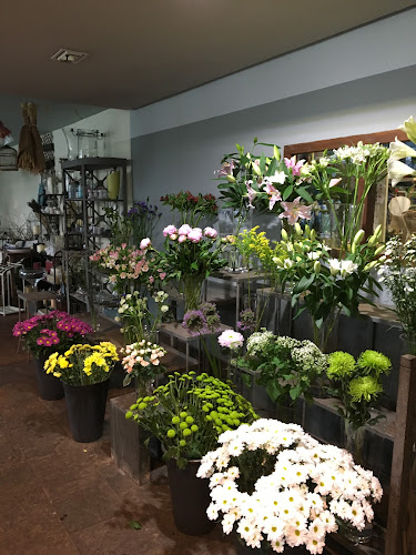 Rebolledo Floristería Y Centro De Jardinería En Santander