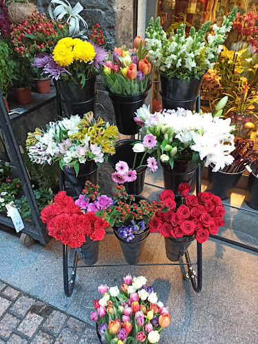 Negocio Semillas, Plantas Y Floristeria Mikel Zuazua