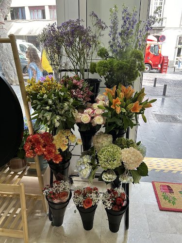 Negocio Sun & Flowers Canarias