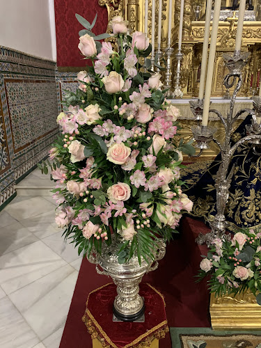 Sur Flor Hispalense