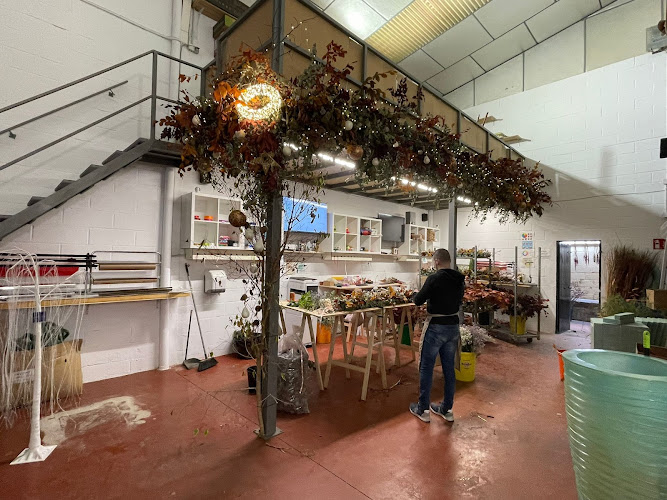 Tus Ramos De Rosas - Floristería Online En Sevilla