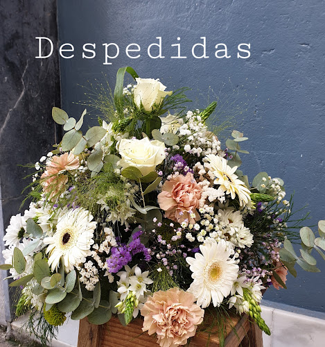 Vansy Taller Floral - Floristería Donostia - Amara