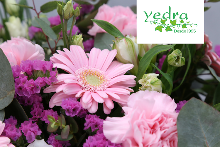 Negocio Yedra