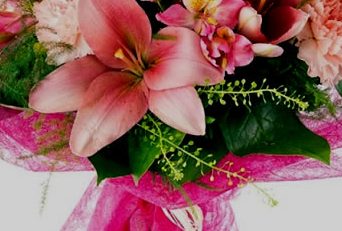 Molina Floristas Albacete