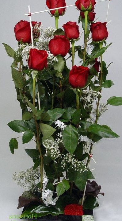 Floristeria Kentia - GIRONA - ROSAS - Tels. 972 20 93 08 - 972 22 ...