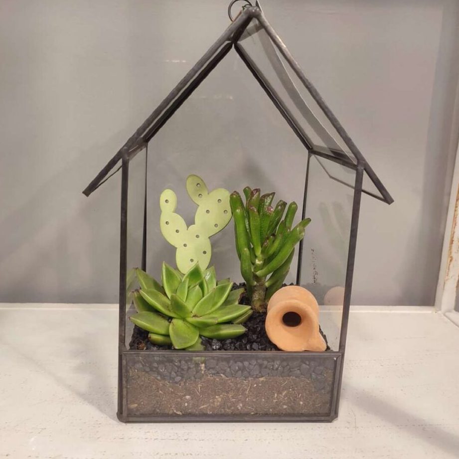 ▷ Floristería Pamplona Tienda online Plantas y flores a domicilio.