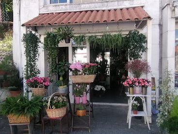 Centro de Jardinería Ostende - Allendelagua