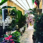 Veronica Floristas Alquerías, Valoración y Reseñas - C. Cura Jiménez
