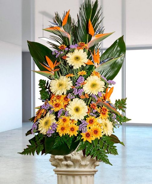 Defunciones recientes Arona | Enviar Flores Funerarias