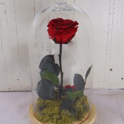 ▷ Floristería en Briviesca -【 Envío Flores Briviesca 】- Envío 0€
