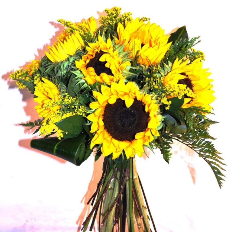 TOP 10 BEST Florists in El Morell, Tarragona, Spain - Updated 2025 ...