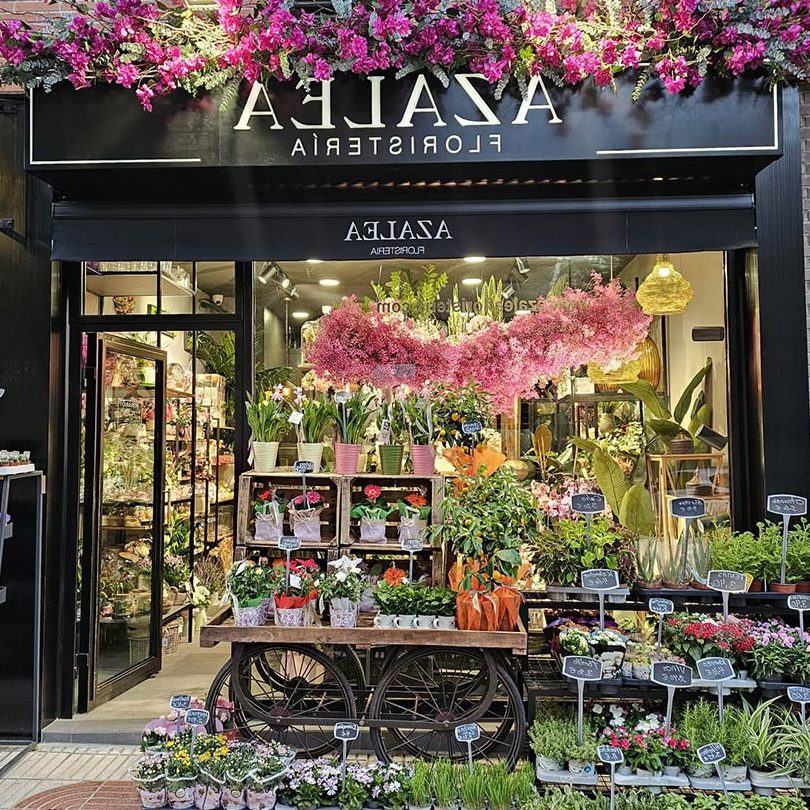 Floristería Getafe flores a domicilio, ramos y plantas | Azalea