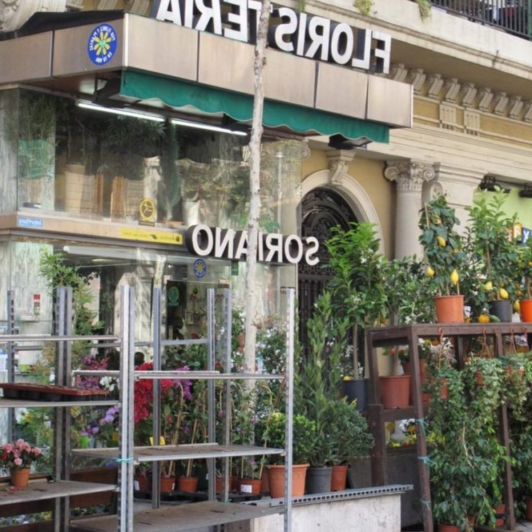 TOP 10 BEST Floristerías near La Canonja, Tarragona, Spain ...