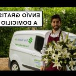 Caja de flores y rosas preservadas