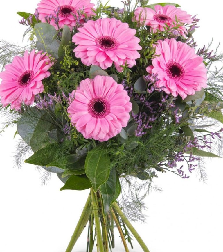 Floristería a domicilio en hospital Molina De Segura (Murcia)