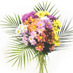 ▷ Floristería en Mula -【 Envío Flores Mula 】- Envío GRATIS