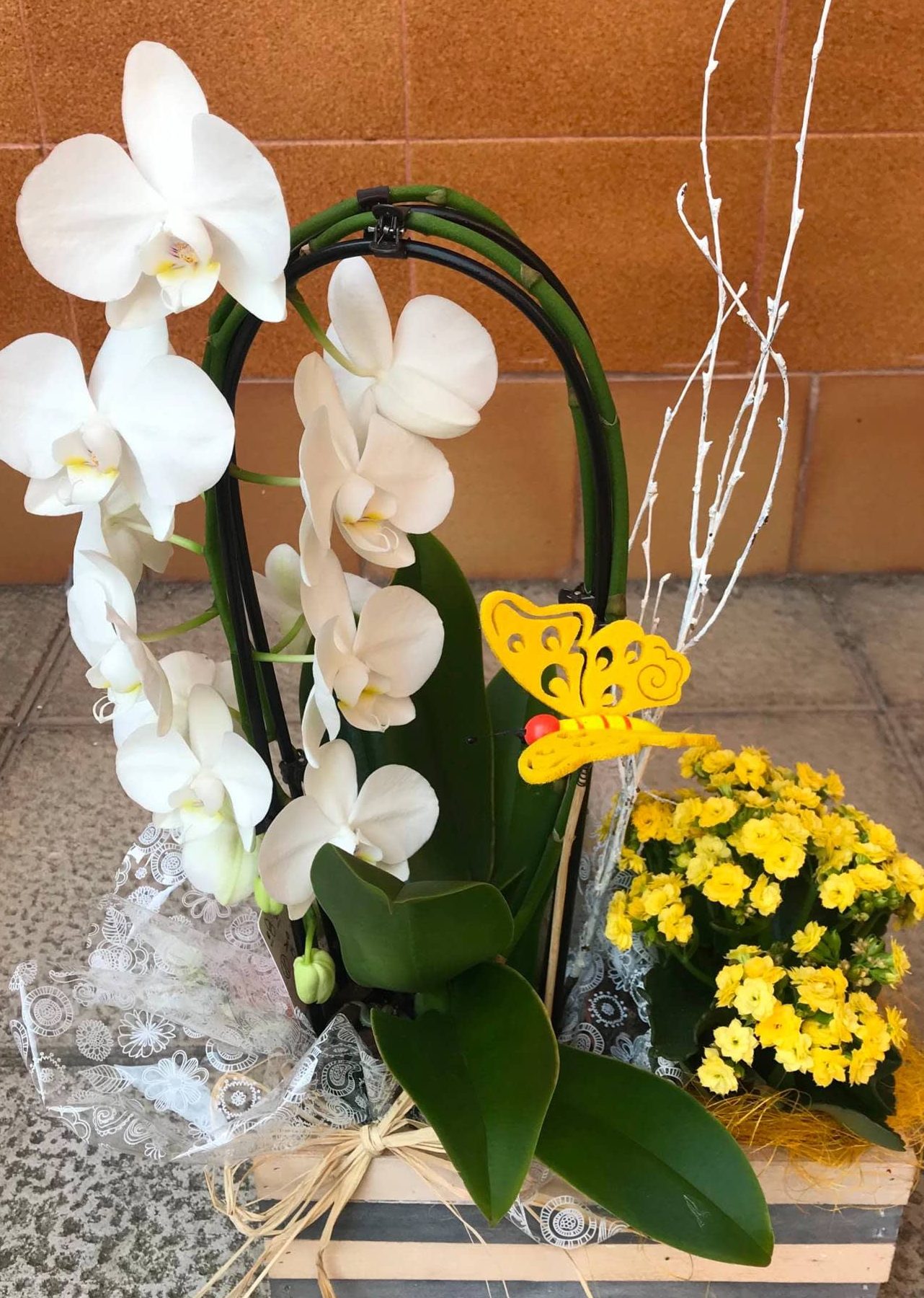 Cesta con plantas y flores | Flores Leymar | Tu Floristería en ...