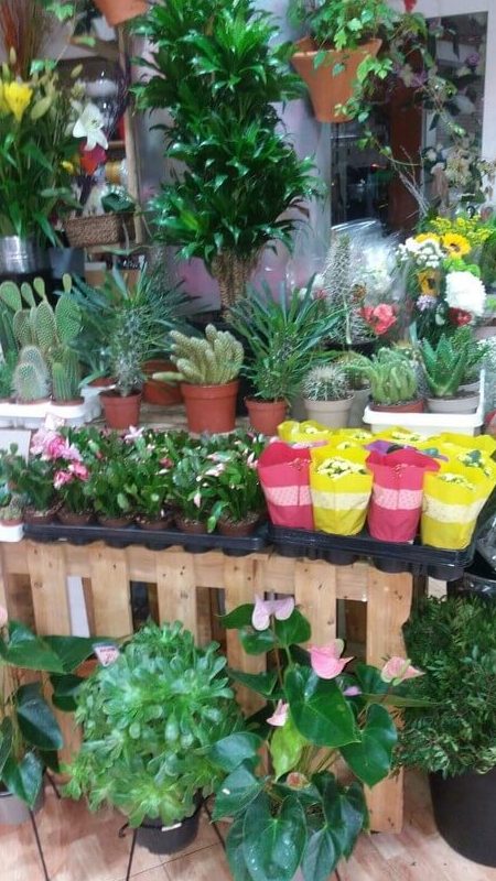 Flors Per Tu | Floristerias en Reus | Ramos en Reus | Tienda de ...