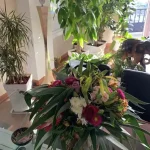 Las 7 mejores Floristerías de Santa Cruz de Tenerife