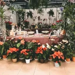 Las mejores Floristerías de Tacoronte