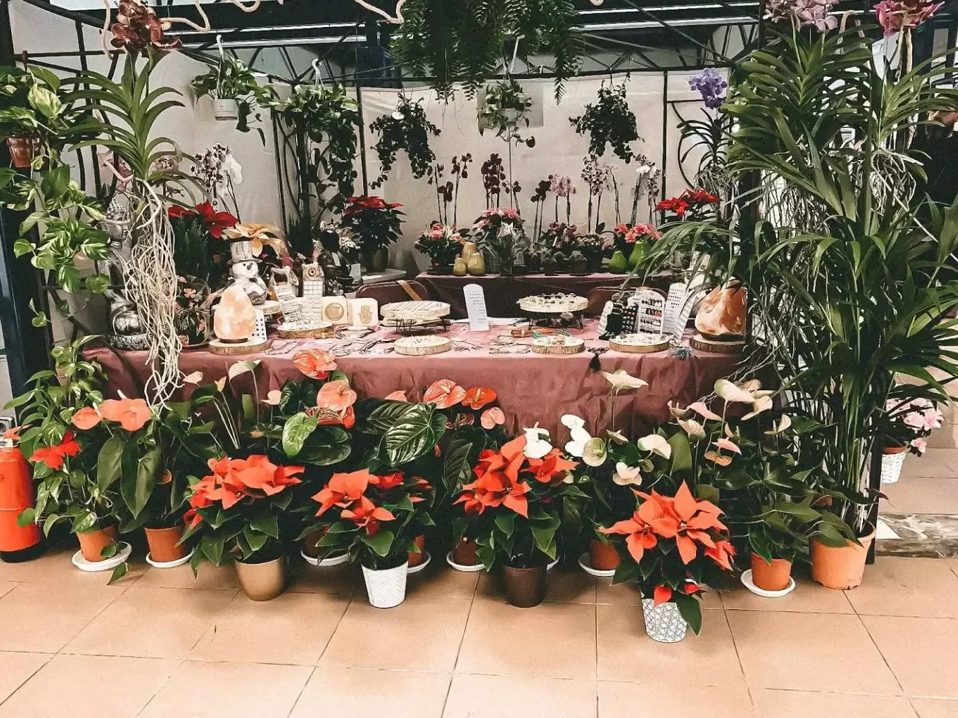 Las mejores Floristerías de Tacoronte